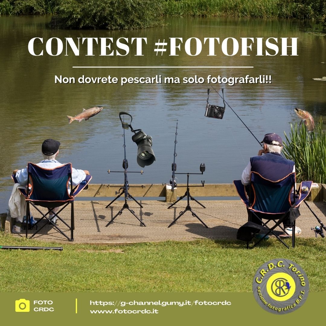 Contest #fotofish